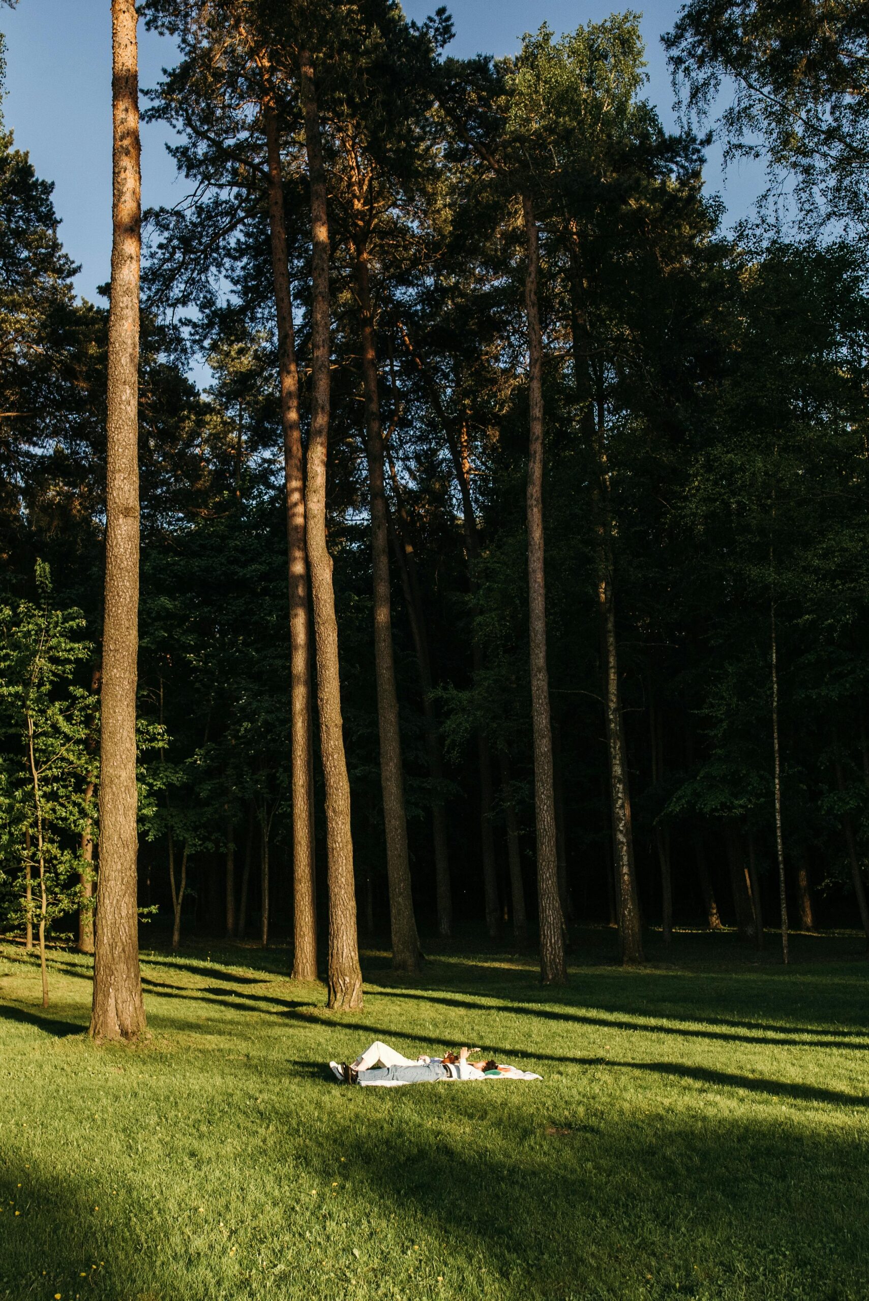 pexels-pavel-danilyuk-8552442